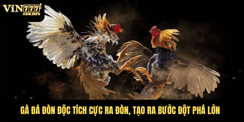 Gà Đá Đòn Độc Tích Cực Ra Đòn, Tạo Ra Bước Đột Phá Lớn 1 gà đá đòn độc